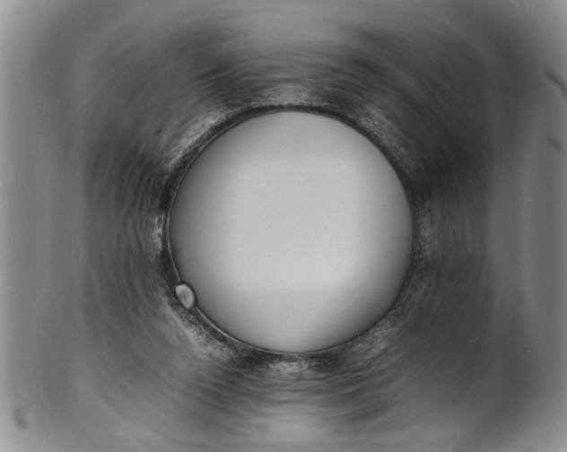 X0000102250160200808081418