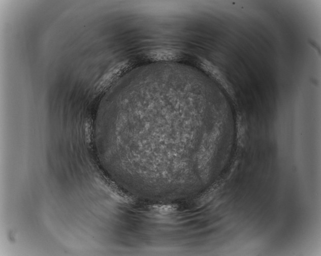 X0000102250161200808081418