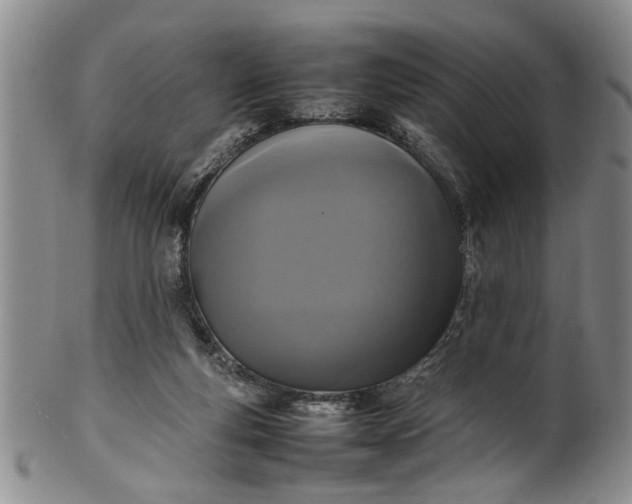 X0000102250163200808081418