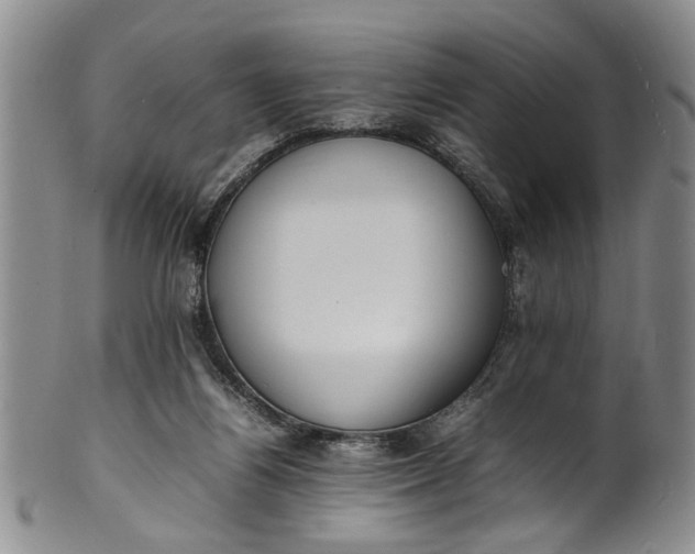 X0000102250164200808081418