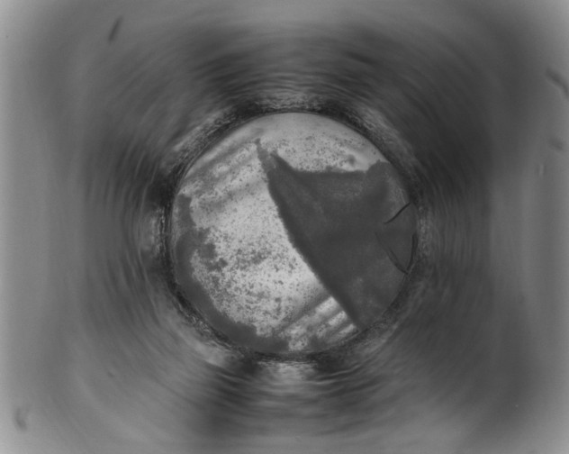 X0000102250165200808081418