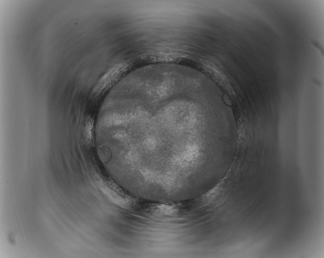 X0000102250166200808081418