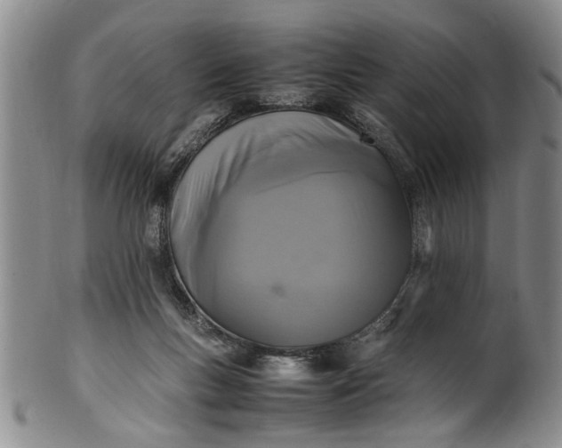 X0000102250167200808081418