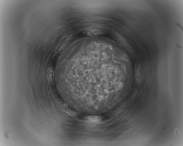 X0000102250169200808081418