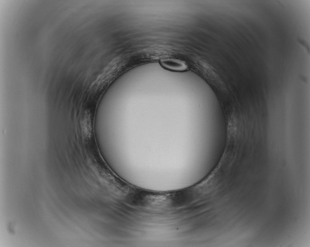 X0000102250170200808081418