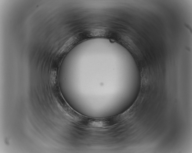 X0000102250171200808081418