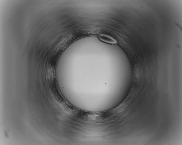 X0000102250172200808081418