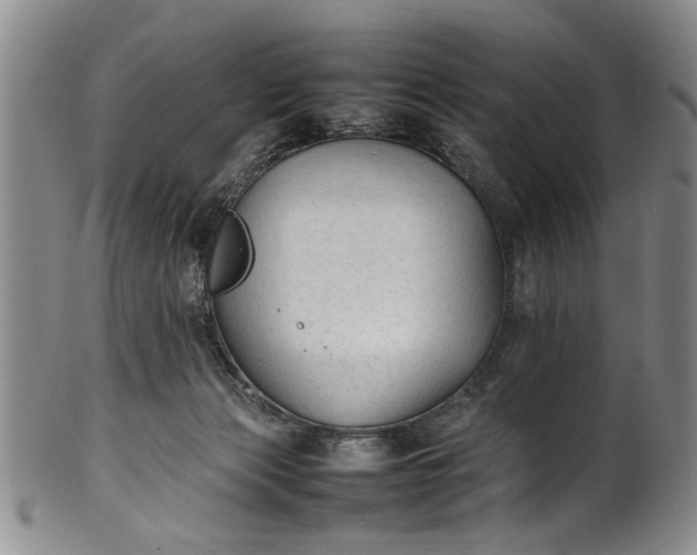 X0000102250173200808081418