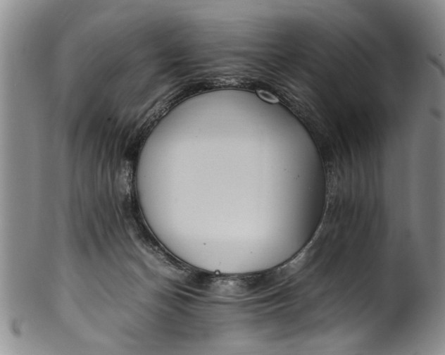 X0000102250174200808081419