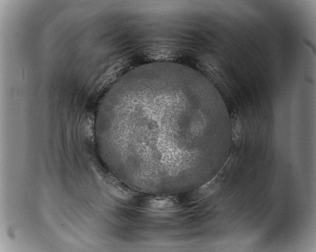 X0000102250175200808081419