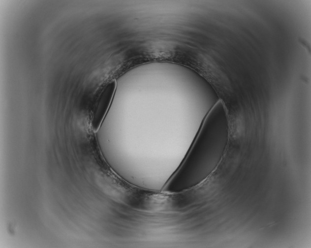 X0000102250176200808081419