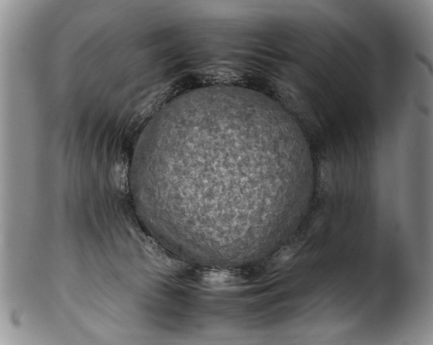 X0000102250177200808081419