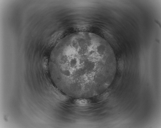 X0000102250181200808081419