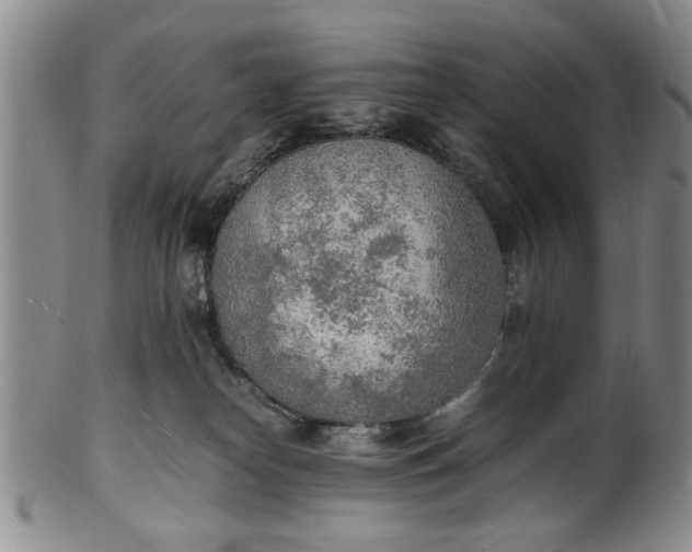 X0000102250182200808081419