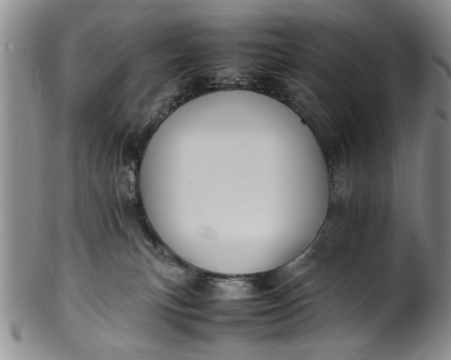 X0000102250183200808081419