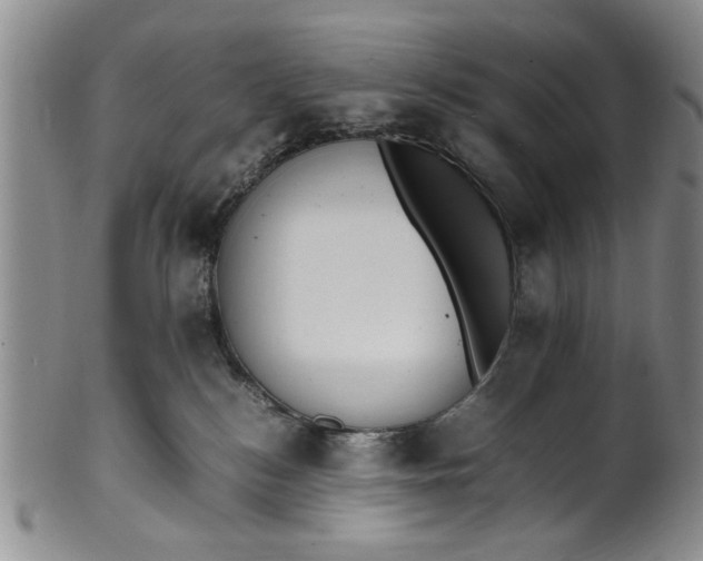 X0000102250184200808081419