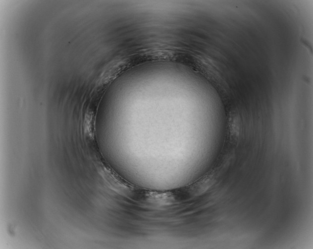 X0000102250185200808081419