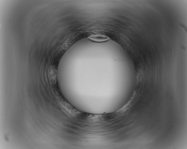 X0000102250186200808081419