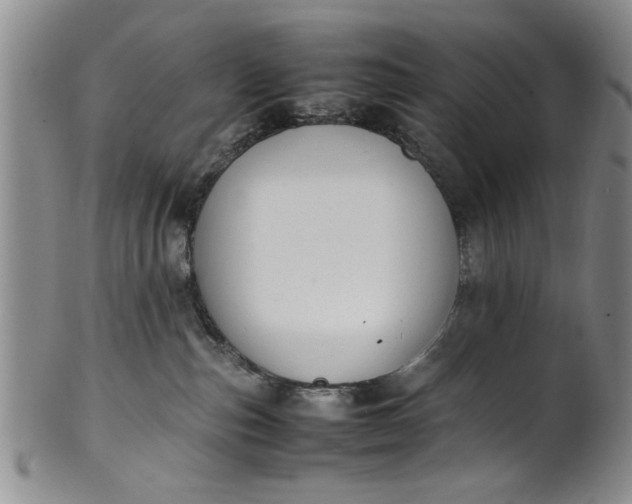 X0000102250187200808081419