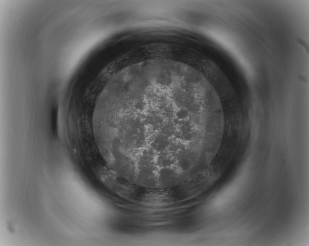 X0000102250189200808081419