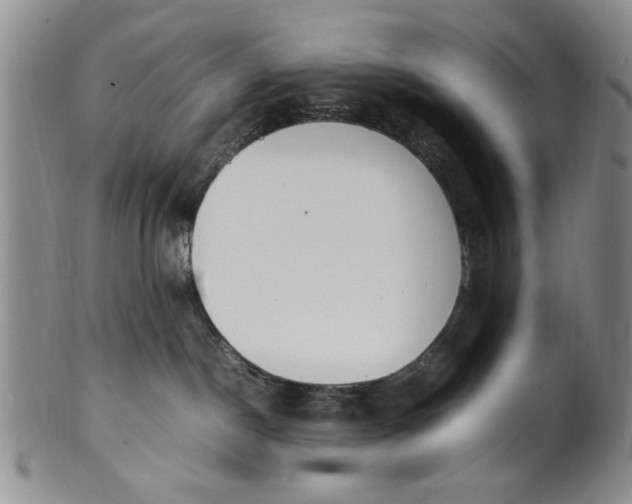 X0000102250190200808081419