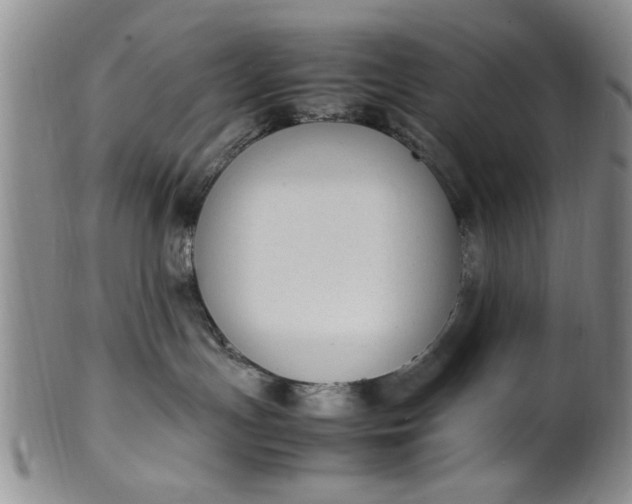 X0000102250191200808081419