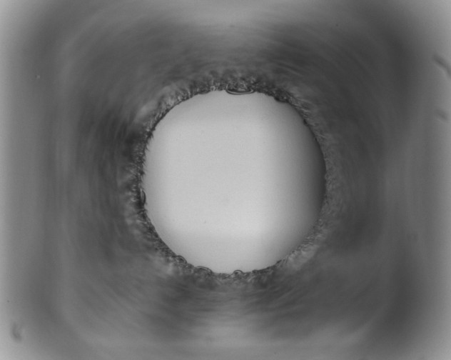 X0000102250192200808081419