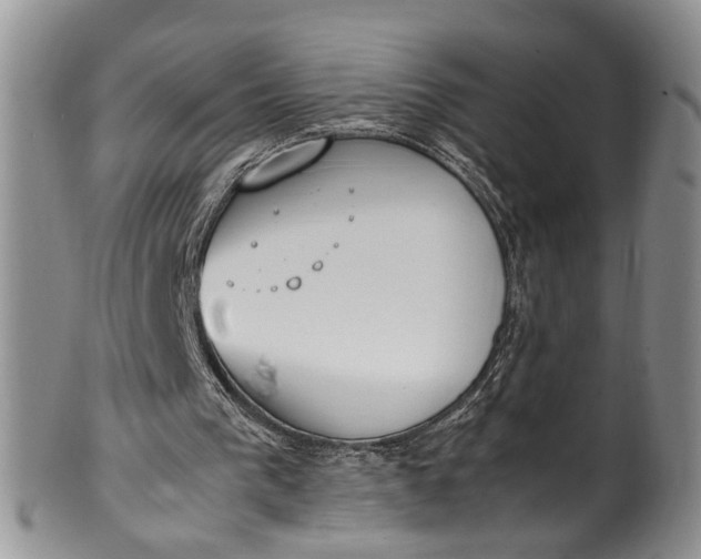 X0000102250193200808081418