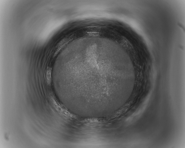 X0000102250194200808081418