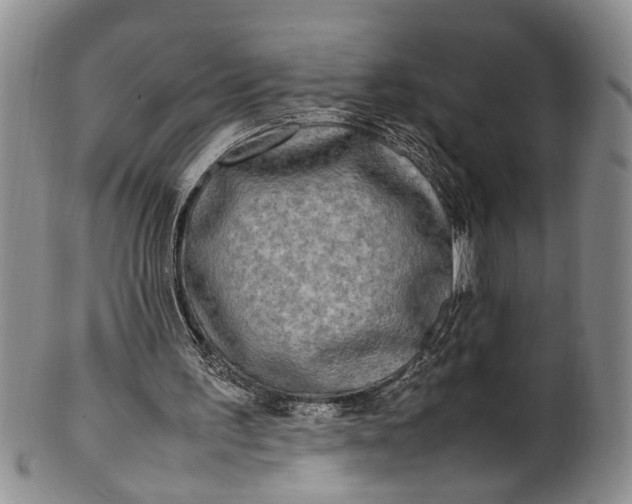 X0000102250195200808081418