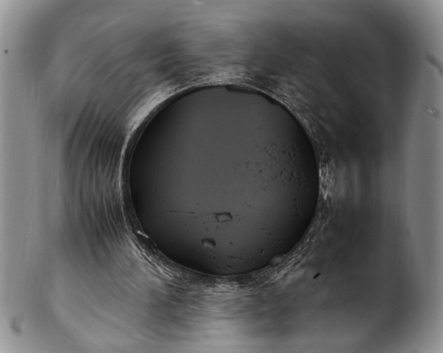 X0000102250196200808081418