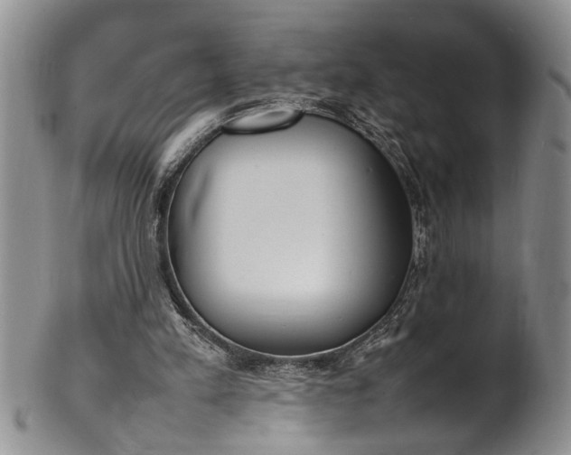 X0000102250197200808081418