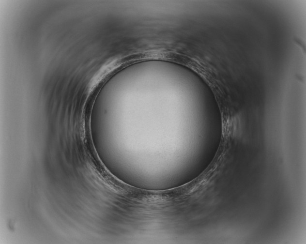 X0000102250198200808081418