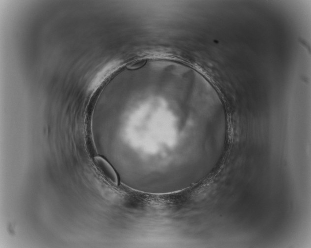 X0000102250199200808081418