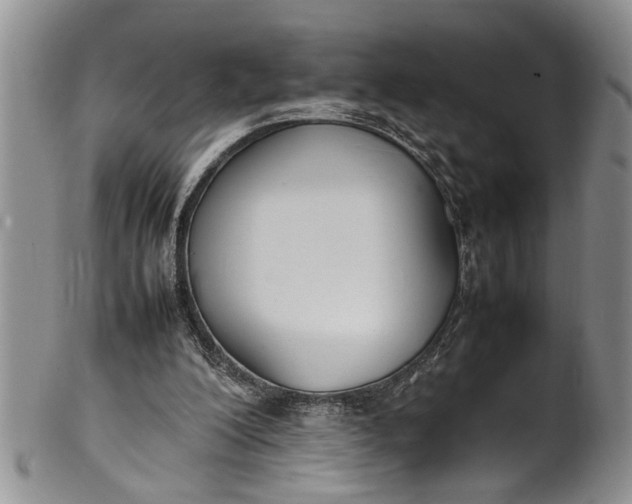 X0000102250200200808081418