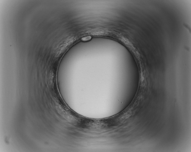 X0000102250201200808081418