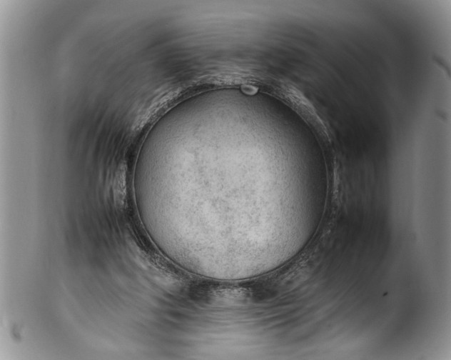 X0000102250202200808081418