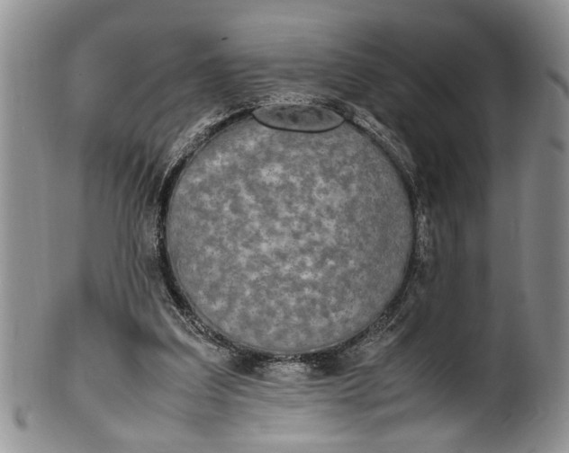 X0000102250203200808081418