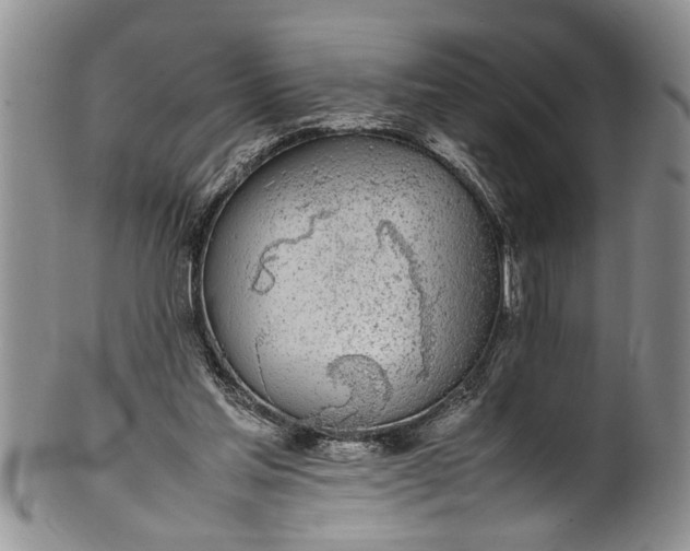 X0000102250205200808081418