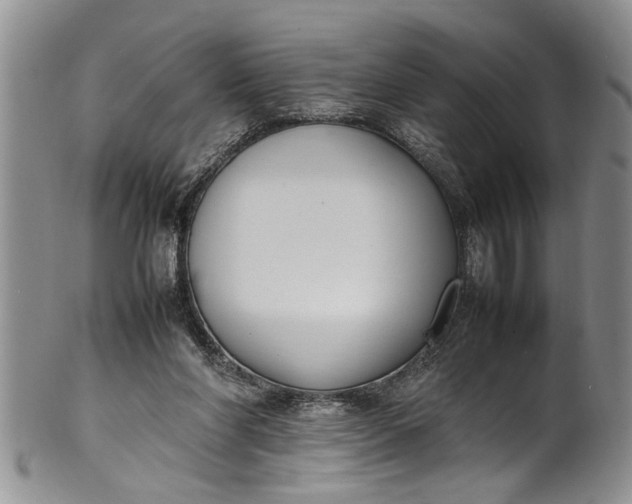 X0000102250206200808081418