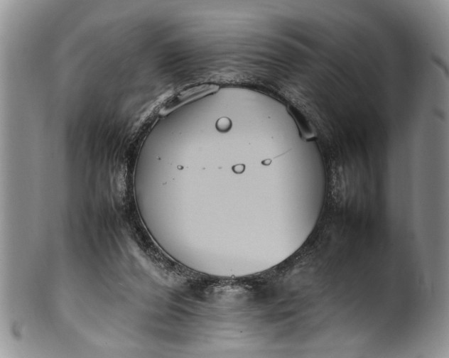 X0000102250208200808081418