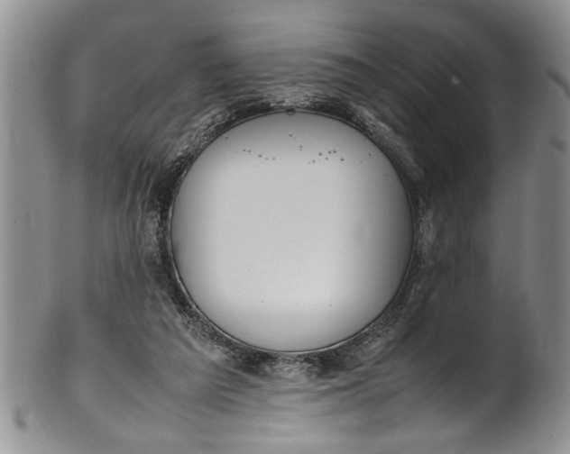 X0000102250209200808081418