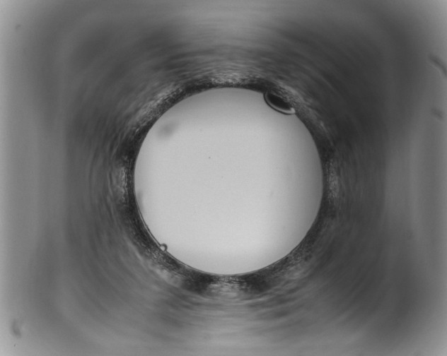 X0000102250211200808081418