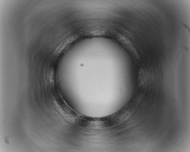 X0000102250212200808081418