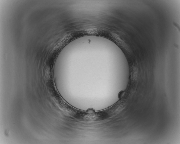 X0000102250213200808081418