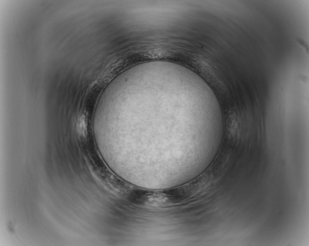 X0000102250214200808081418