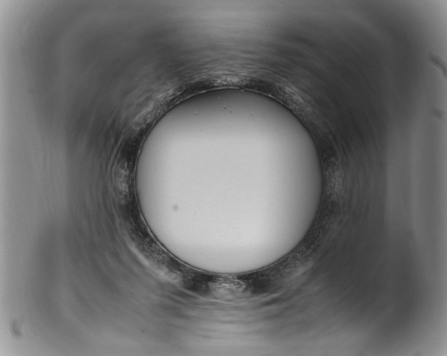 X0000102250215200808081418