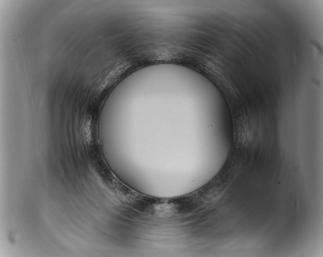 X0000102250216200808081418