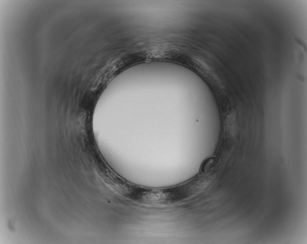 X0000102250217200808081418