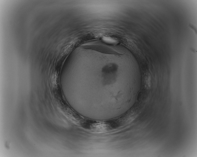 X0000102250219200808081418